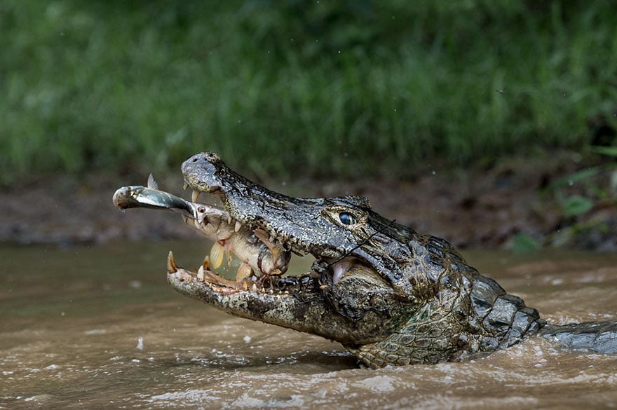 national-geographic-travel-photographer-of-the-year-2016-winners-8