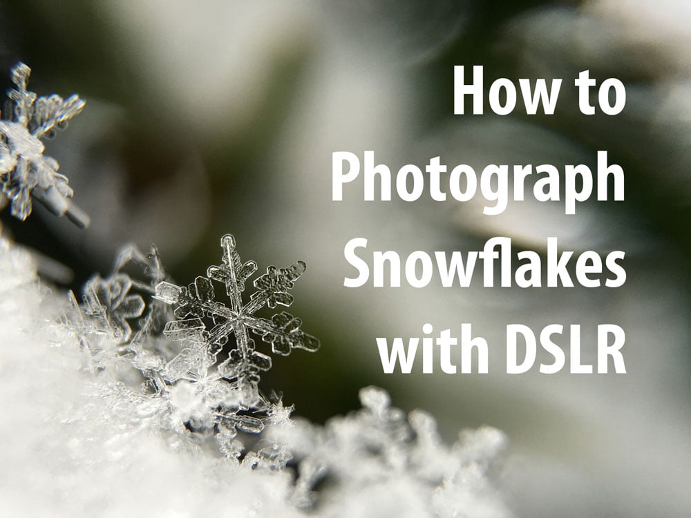 how-to-photograph-snowflakes-with-dslr