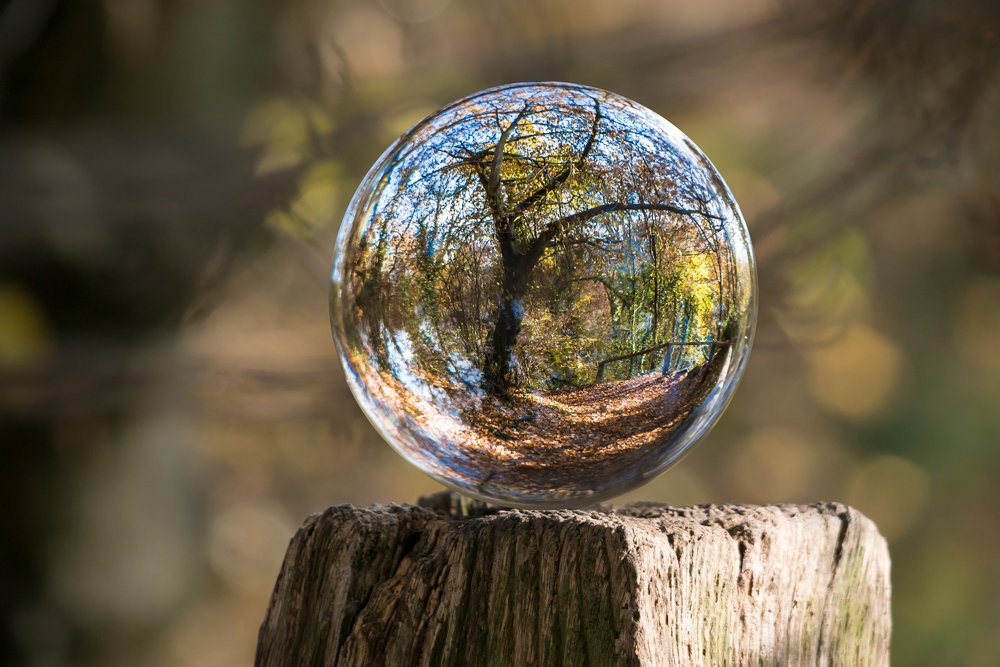 glass ball photo autumn